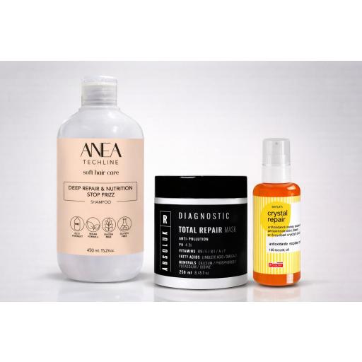 Pack Reparador Capilar Anea Champú 450ml l + Mascarilla 250ml Absoluk + Serum Glossco