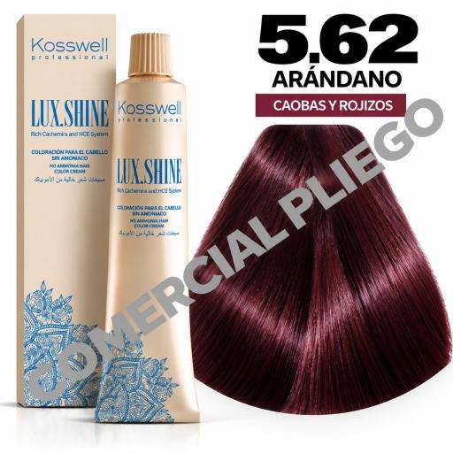 Tinte Lux Shine N5.62 Arándano sin amoniaco 60ml Kosswell  