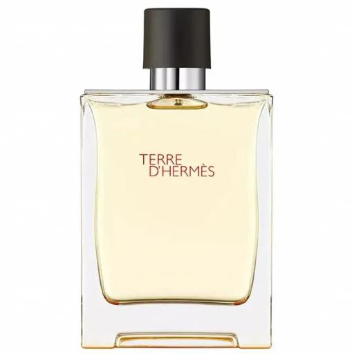 Terre D'hermes Eau De Toilette Spray 100ml [0]
