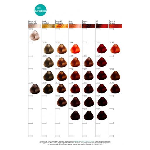 Tinte Absoluk 100ml 11.1 [2]