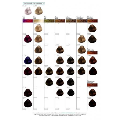 Tinte Absoluk 100ml 11.1 [1]