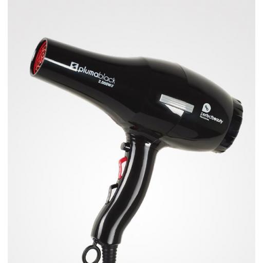 Secador de mano Pluma Negro 2000W