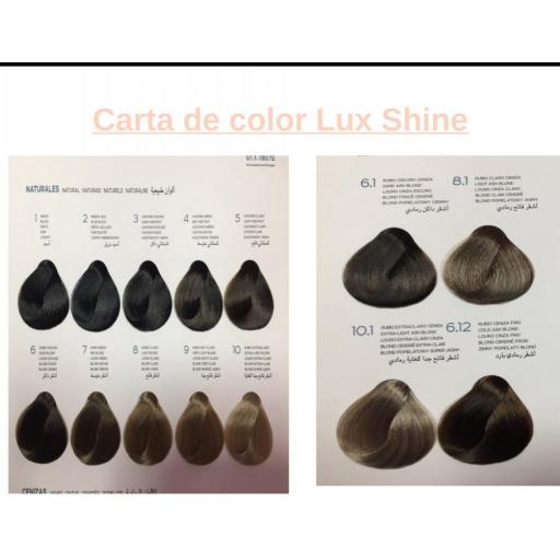 Tinte Lux Shine N6.1 Rubio Oscuro Ceniza sin amoniaco 60ml Kosswell  [1]