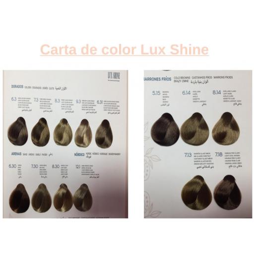 Tinte Lux Shine N8.1 Rubio Claro Ceniza sin amoniaco 60ml Kosswell  [2]