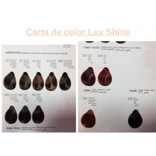 Tinte Lux Shine N8.1 Rubio Claro Ceniza sin amoniaco 60ml Kosswell  [3]