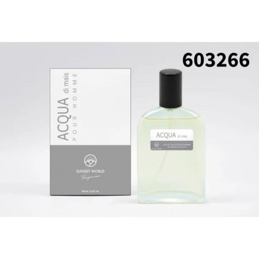 ACQUA DI MAIS HOMME 100ML [0]