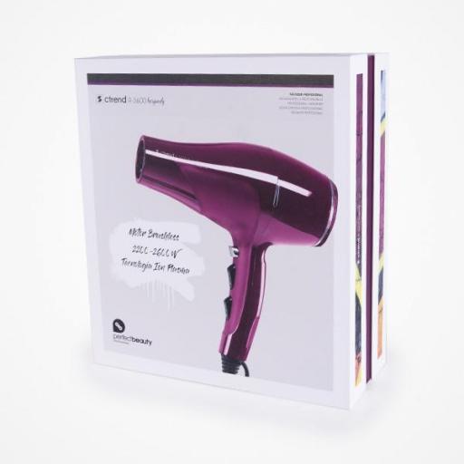 Secador profesional C TREND R3600  [1]