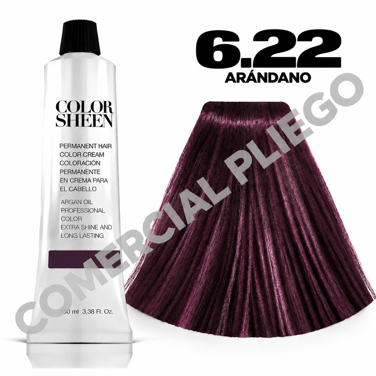 Tinte 6.22 Arandano Color Sheen 100ml