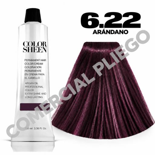 Tinte 6.22 Arandano Color Sheen 100ml
