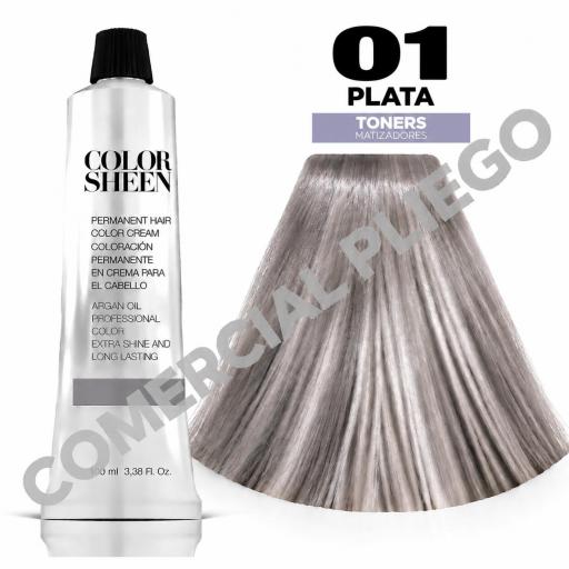 Tinte 01 Plata  Color Sheen 100ml