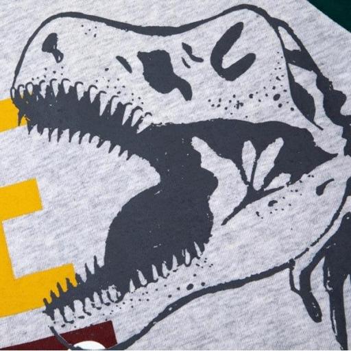 Camiseta niño manga larga Dinosaurio NEWNESS [3]