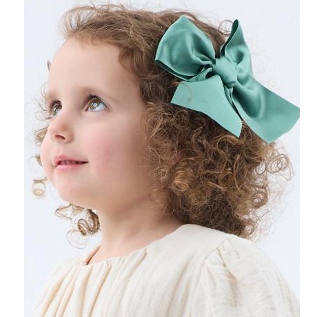 Lazo Pelo Pinza Grande Gros Grain Cóndor - Varios colores [1]