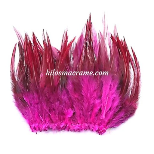 Plumas 16 [1]