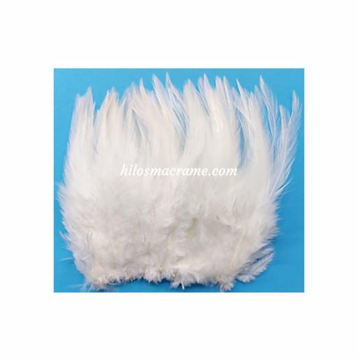 Plumas 7