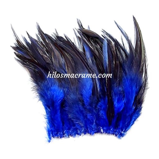 Plumas 13 [1]