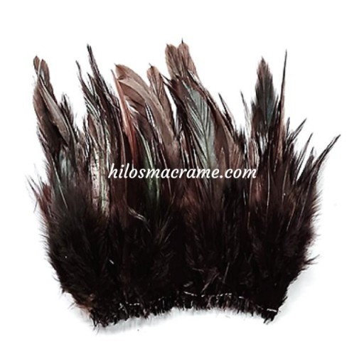 Plumas 14 [1]