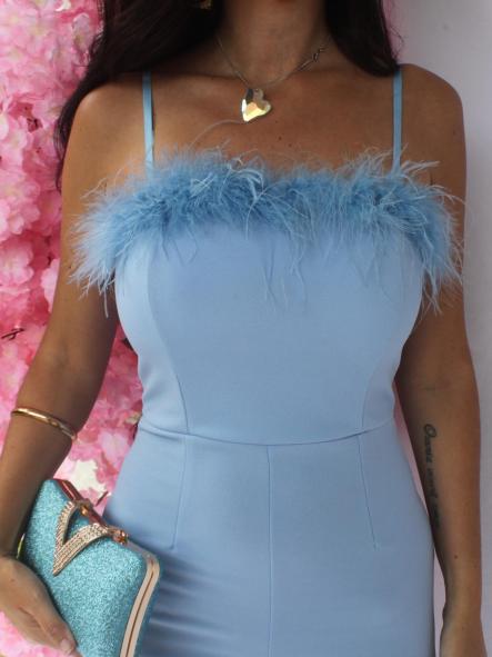 Mono Plumas Azul [5]