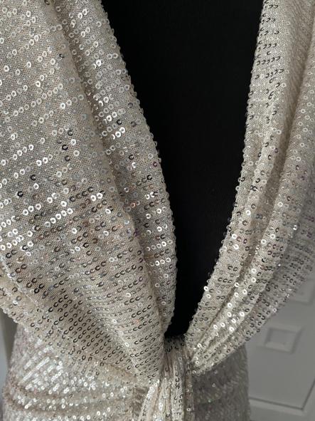Vestido Damia Lentejuelas Plata [4]