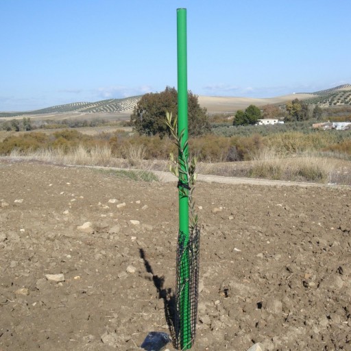 Tutor sintético verde 4 x 150 cm [2]