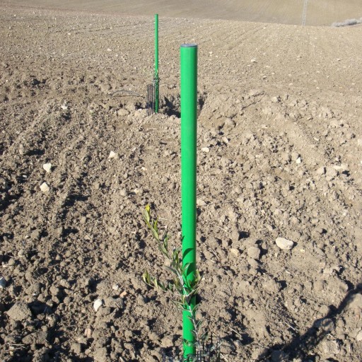 Tutor sintético verde 4 x 175 cm