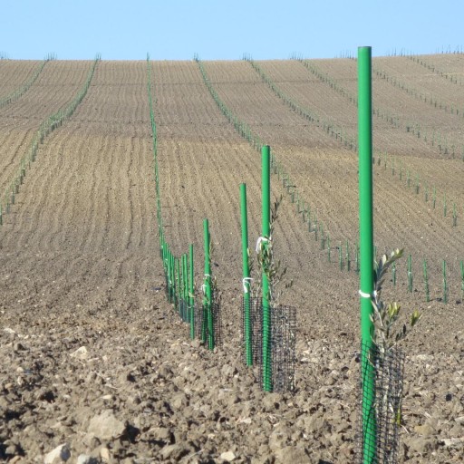 Tutor sintético verde 4 x 150 cm [1]