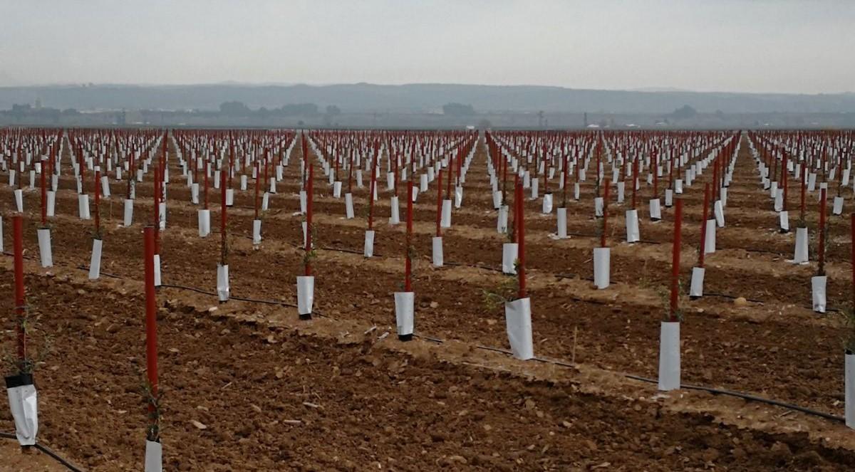 Tutor sintético 4 x 140 cm