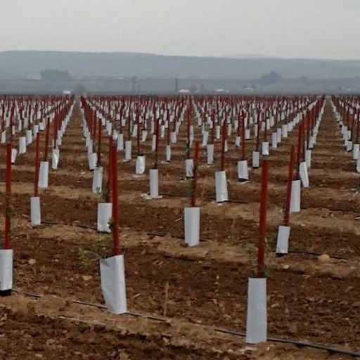 Tutor sintético 4 x 140 cm