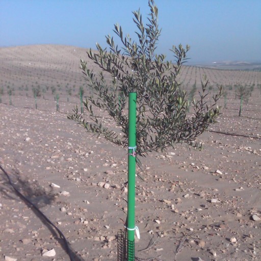 Tutor sintético verde 4 x 150 cm