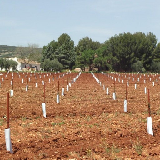 Tutor sintético 4 x 140 cm [3]