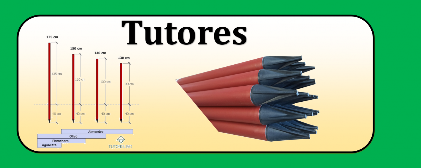 Tutores
