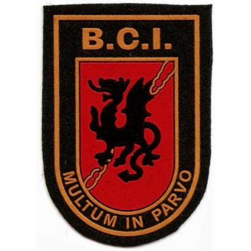 Policía foral de navarra brigada central de intervención BCI parche insignia emblema distintivo [0]