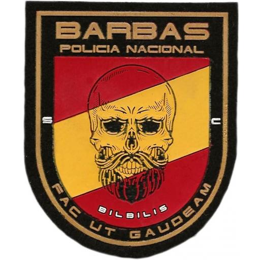 PARCHE DE LA POLICÍA NACIONAL CNP GRUPO DE SEGURIDAD CIUDADANA BARBAS BILBILIS [0]
