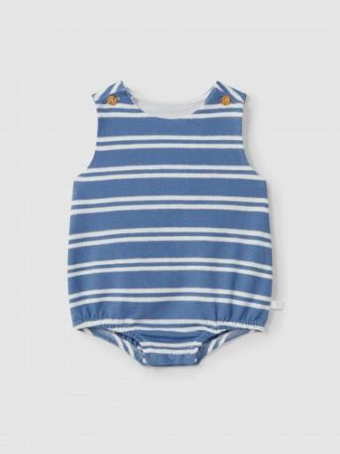 Ranita a rayas azul  [0]