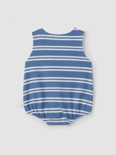 Ranita a rayas azul  [1]