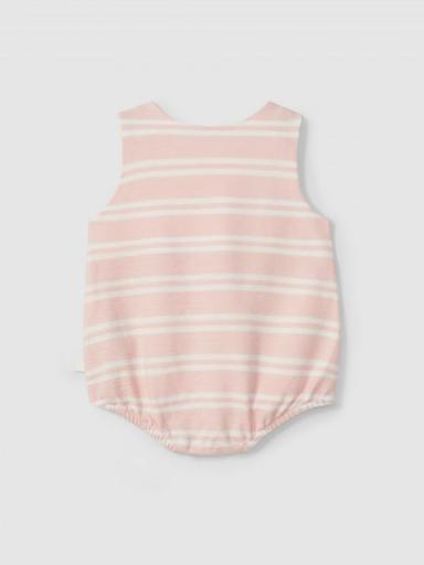 Ranita a rayas rosa [1]