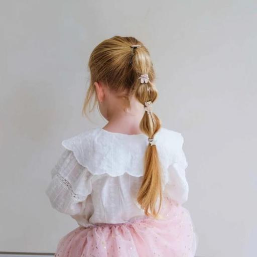 Coleteros para el pelo de bailarina [2]