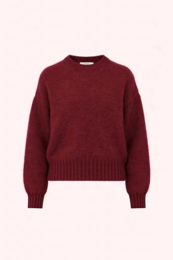 Jersey Sonny wine rose [0]