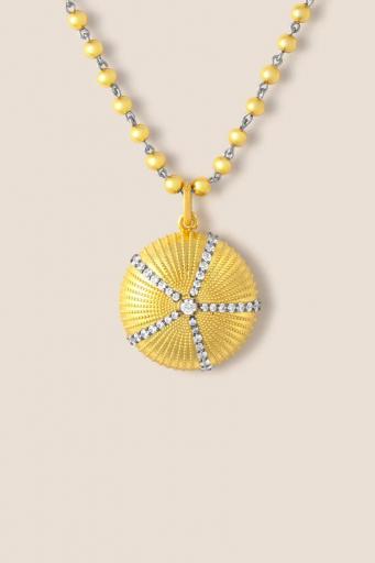 Charm erizo [3]