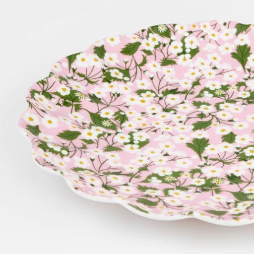 Set de platos Liberty grandes reutilizables melamina [4]