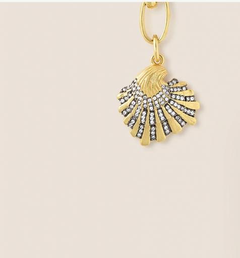 Charm Shell