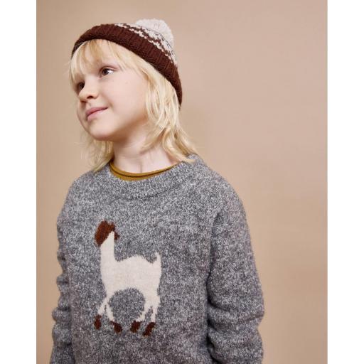 Jersey llama [1]