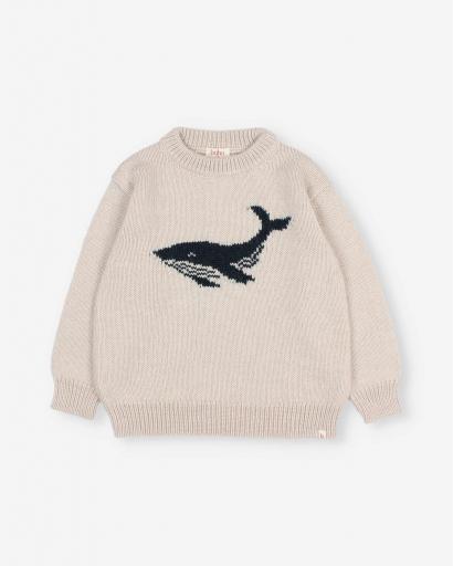 Jersey ballena