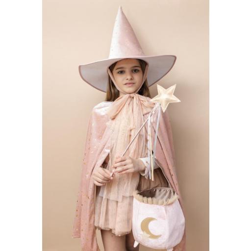 Capa rosa de terciopelo Glinda [1]