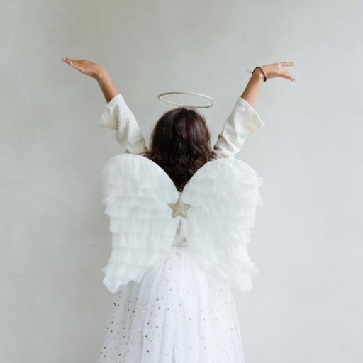 Alas de ángel [1]