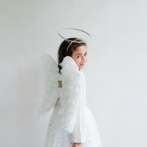 Alas de ángel [2]