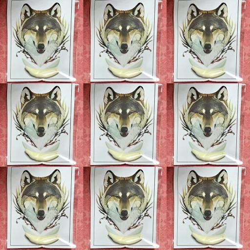 X9 Genuine Coyote Tooth - Autentico Diente Coyote - Amulet