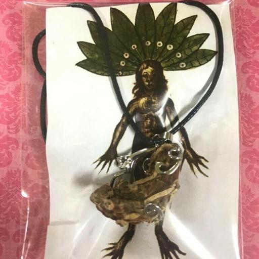 Amuleto Raiz de Mandragora - amulet Mandrake Root 