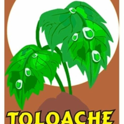 Polvo Esoterico Toloache