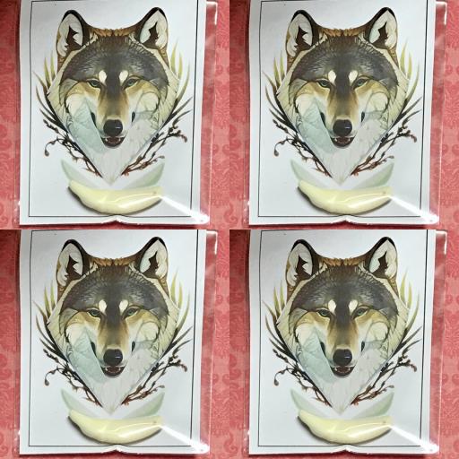 X4 Genuine Coyote Tooth - Autentico Diente Coyote - Amulet
