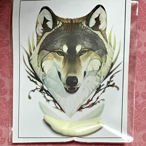 X1 Genuine Coyote Tooth - Autentico Diente Coyote - Amulet
